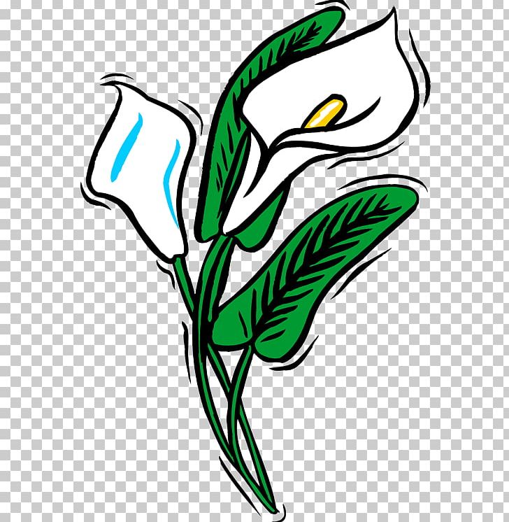 Flower Line Art Plant Stem PNG, Clipart, Artwork, Beak, Black And White, Character, Com Free PNG Download
