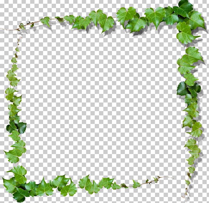 green vines clip art
