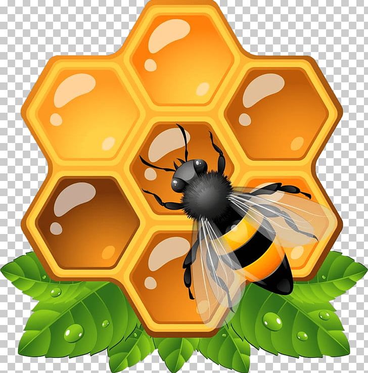 Honey Bee Insect Honeycomb PNG, Clipart, Arthropod, Bee, Beehive, Beeswax, Butterfly Free PNG Download