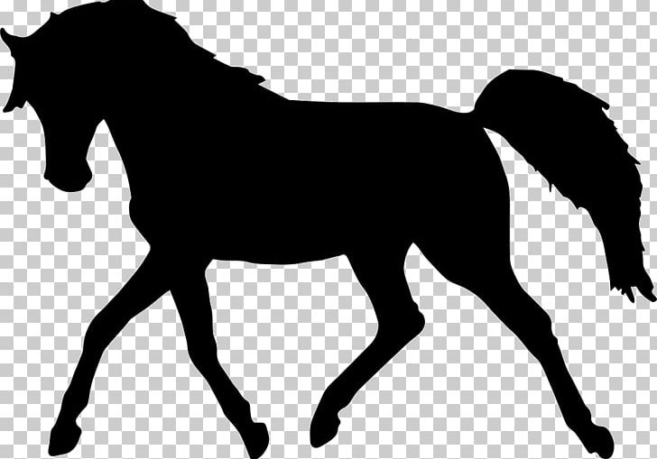 Standing Horse Silhouette PNG, Clipart, Animals, Black And White, Bridle, Collection, Colt Free PNG Download