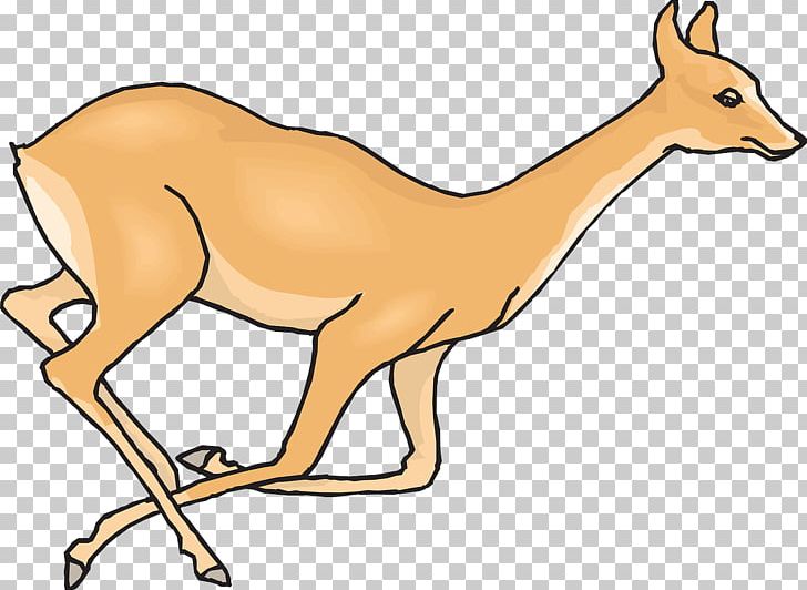 White-tailed Deer Open Reindeer PNG, Clipart, Animal Figure, Animals, Antelope, Carnivoran, Computer Icons Free PNG Download