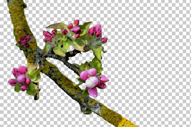 Floral Design PNG, Clipart, Biology, Bud, Cut Flowers, Floral Design, Flower Free PNG Download