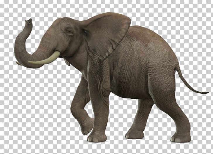 African Bush Elephant Asian Elephant PNG, Clipart, African Forest Elephant, Animals, Computer Icons, Elephant, Elephantidae Free PNG Download