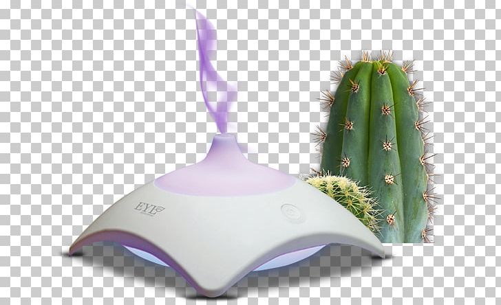 Cactaceae Desktop PNG, Clipart, Cactaceae, Clipping Path, Computer Icons, Desktop Wallpaper, Download Free PNG Download