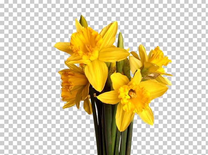 I Wandered Lonely As A Cloud Flower Bouquet Daffodil Yellow PNG, Clipart, Amaryllis Family, Blue, Bouquet, Bunch, Cut Flowers Free PNG Download