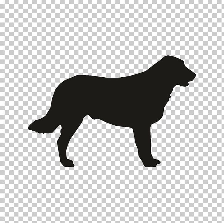 Labrador Retriever Flat-Coated Retriever Rough Collie Dog Breed Puppy PNG, Clipart, Animals, Black, Black And White, Carnivoran, Collie Free PNG Download