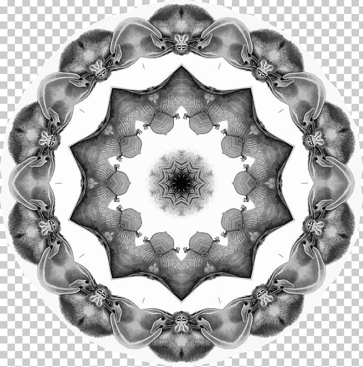 Monochrome Photography Circle Symmetry PNG, Clipart, Black And White, Chromatic, Circle, Education Science, Is 300 Free PNG Download