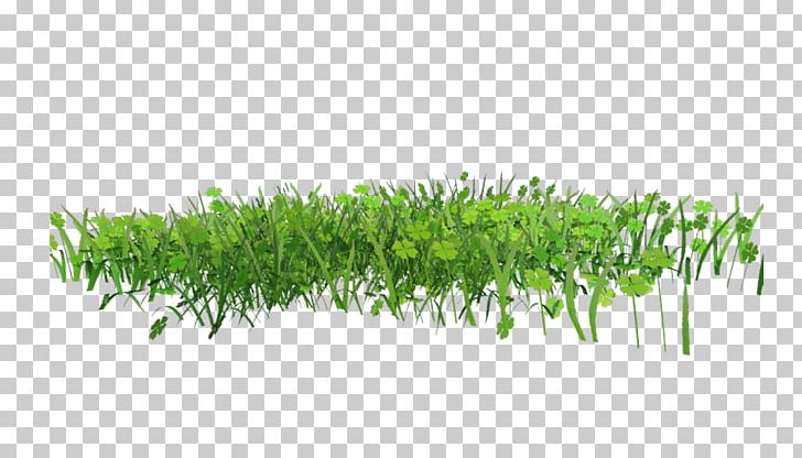 Pasture PNG, Clipart, Computer Icons, Desktop Wallpaper, Download, Grass, Grass Family Free PNG Download