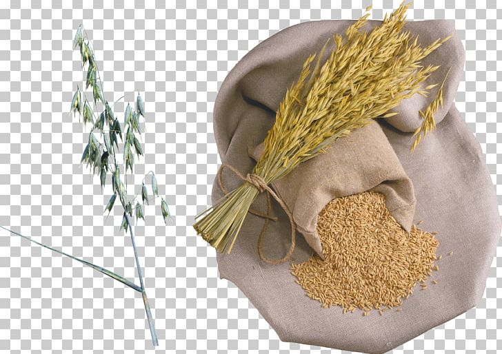 Rice Wheat Porridge Caryopsis Organic Food PNG, Clipart, Buckwheat, Caryopsis, Commodity, Corn Sheller, Crop Free PNG Download
