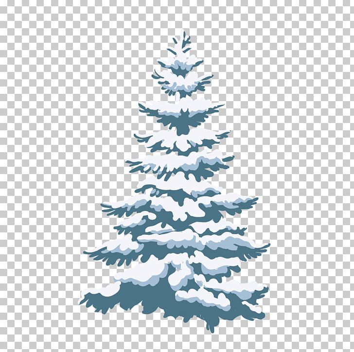 Pine Fir Christmas Tree Snow PNG, Clipart, Christmas, Christmas Decoration, Christmas Ornament, Conifer, Conifer Cone Free PNG Download
