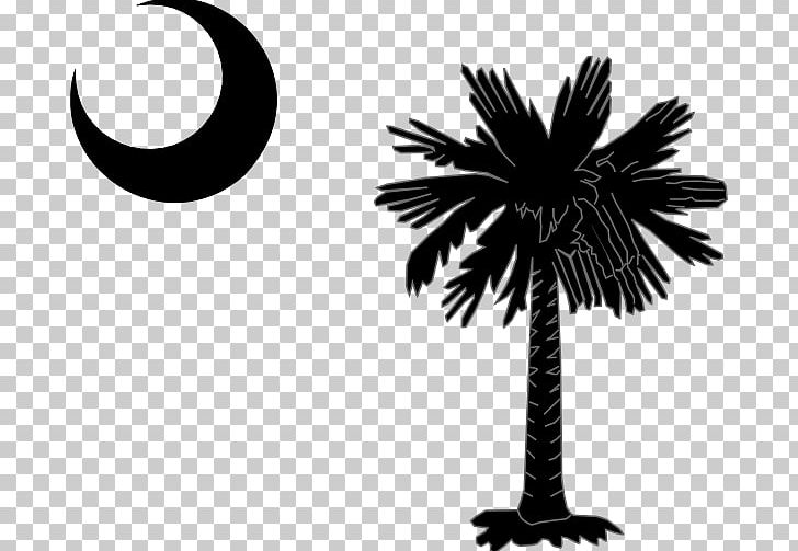 Flag Of South Carolina Sabal Palm Palm Trees PNG, Clipart, Arecales, Black And White, Borassus Flabellifer, Branch, Crescent Free PNG Download