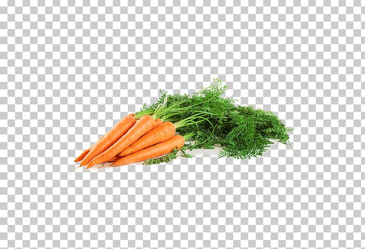 Baby Carrot Vegetable Carrot Seed Oil Diet PNG, Clipart, Arracacia Xanthorrhiza, Baby Carrot, Carotene, Carrot, Carrot Seed Oil Free PNG Download