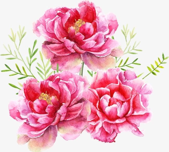 Flower PNG, Clipart, Backgrounds, Beauty In Nature, Bouquet, Branches, Decoration Free PNG Download