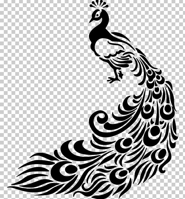 Line Art Drawing Peafowl PNG, Clipart, Art, Beak, Bird, Black, Black And White Free PNG Download