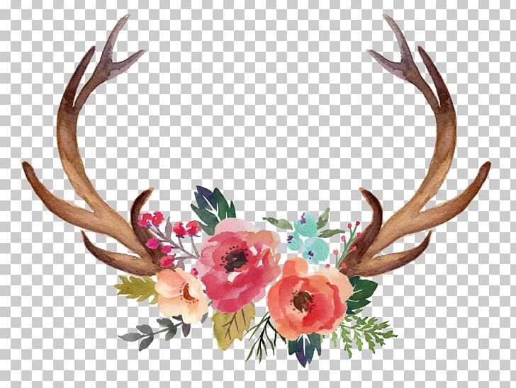 Deer Antler Moose Flower PNG, Clipart, Art, Color, Craft, Cut Flowers, Deer Horn Free PNG Download