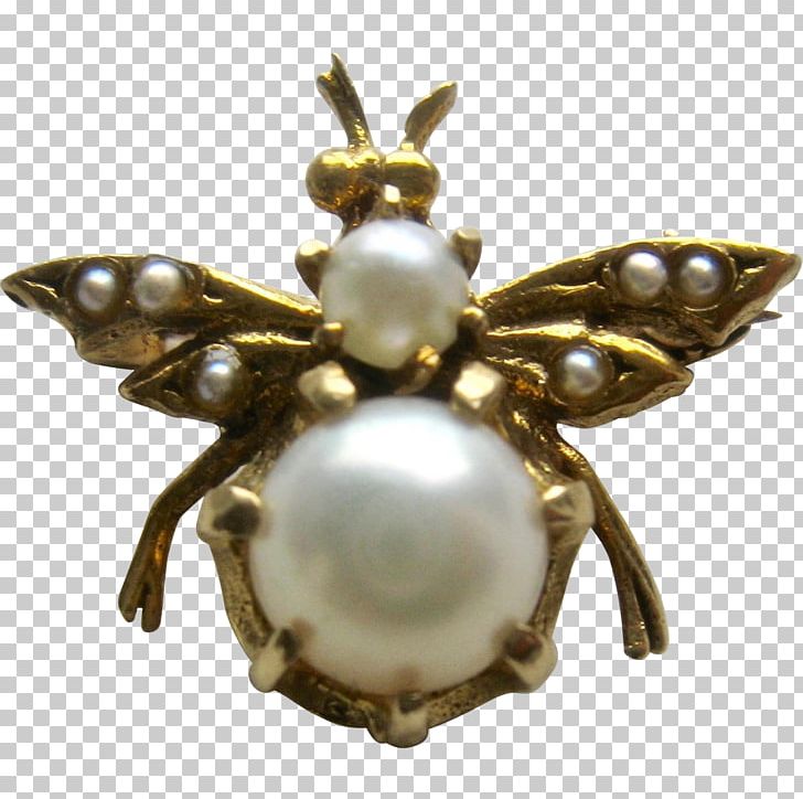Insect Brooch Jewellery Clothing Accessories Pollinator PNG, Clipart, Animals, Beehive, Brooch, Clothing Accessories, Fashion Free PNG Download