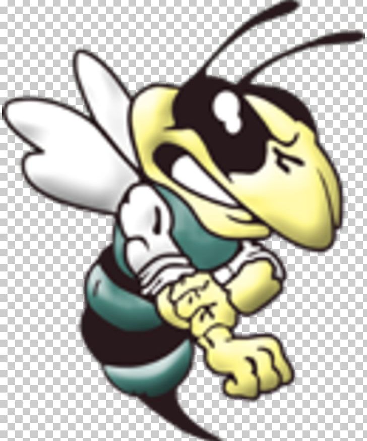Yellowjacket Hornet Logo Georgia Tech Yellow Jackets Football PNG, Clipart, Art, Artwork, Bee, Coat, Decal Free PNG Download