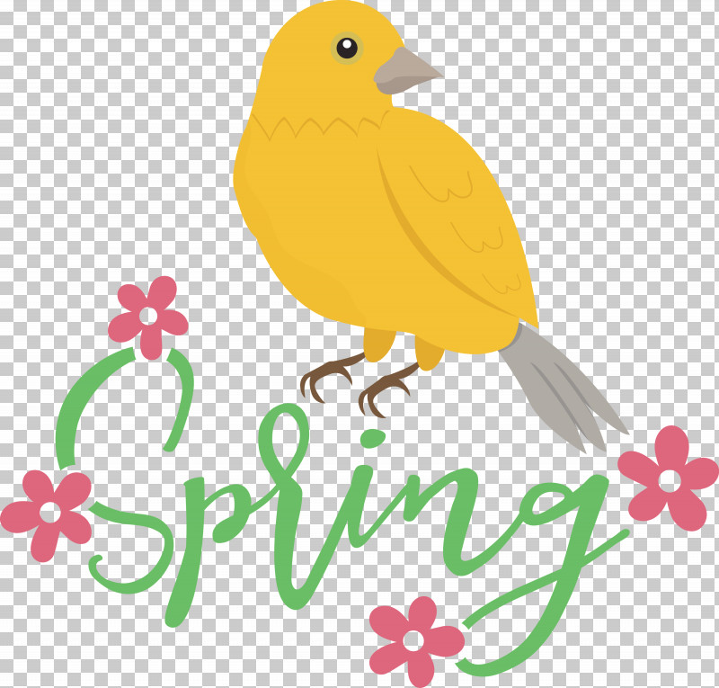 Spring Bird PNG, Clipart, Beak, Bird, Birds, Quotation, Spring Free PNG Download