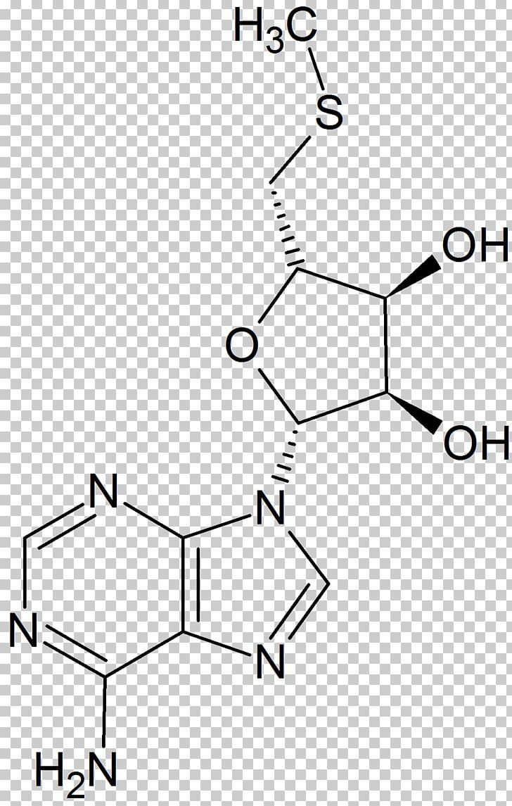 Caffeine Coffee Chemistry Theobromine Norepinephrine PNG, Clipart, Adenosine Deaminase Zalpha Domain, Alkaloid, Angle, Area, Black And White Free PNG Download