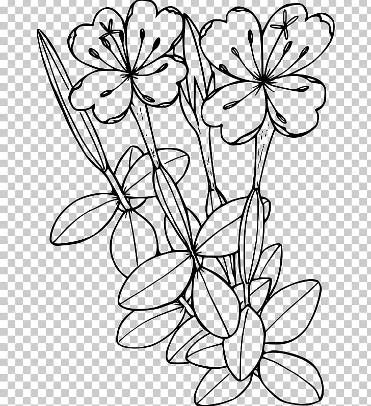 Coloring Book Floral Design Wildflower PNG, Clipart, Art, Black And White, Branch, Color, Coloring Book Free PNG Download