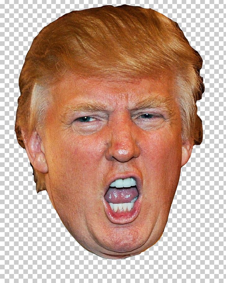 Donald Trump The Apprentice President Of The United States Republican Party PNG, Clipart, Actor, Aggression, Angry, Apprentice, Celebr Free PNG Download