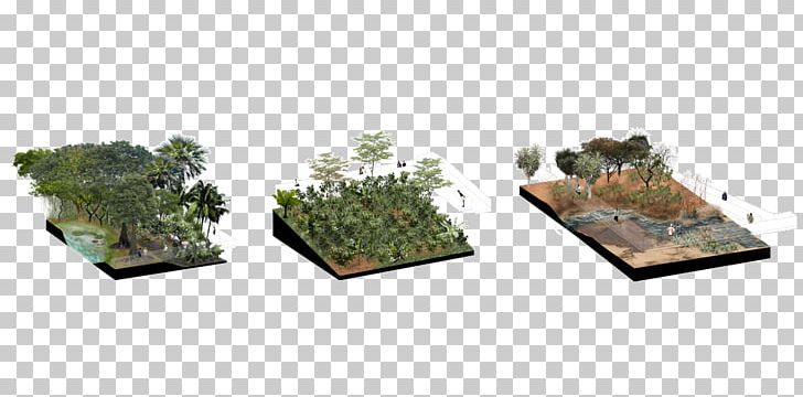 Tree Flowerpot PNG, Clipart, Flowerpot, Grass, Nature, Plant, Tree Free PNG Download