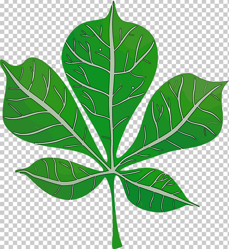 Leaf Plant Stem Herbal Medicine Plants Science PNG, Clipart, Biology, Herbal Medicine, Leaf, Plants, Plant Stem Free PNG Download