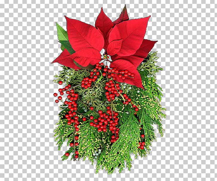 Christmas Ornament Poinsettia Flower Christmas Eve PNG, Clipart, Animaatio, Banco, Christmas, Christmas Decoration, Christmas Eve Free PNG Download