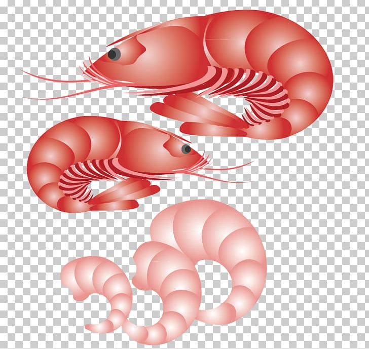 Seafood Oyster Lobster PNG, Clipart, Animals, Cartoon Shrimp, Computer Icons, Dried Shrimp, Encapsulated Postscript Free PNG Download