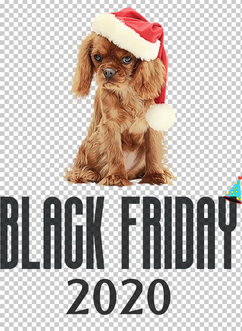 Dog Puppy Snout Companion Dog Spaniel PNG, Clipart, Biology, Black Friday, Breed, Clothing, Companion Dog Free PNG Download