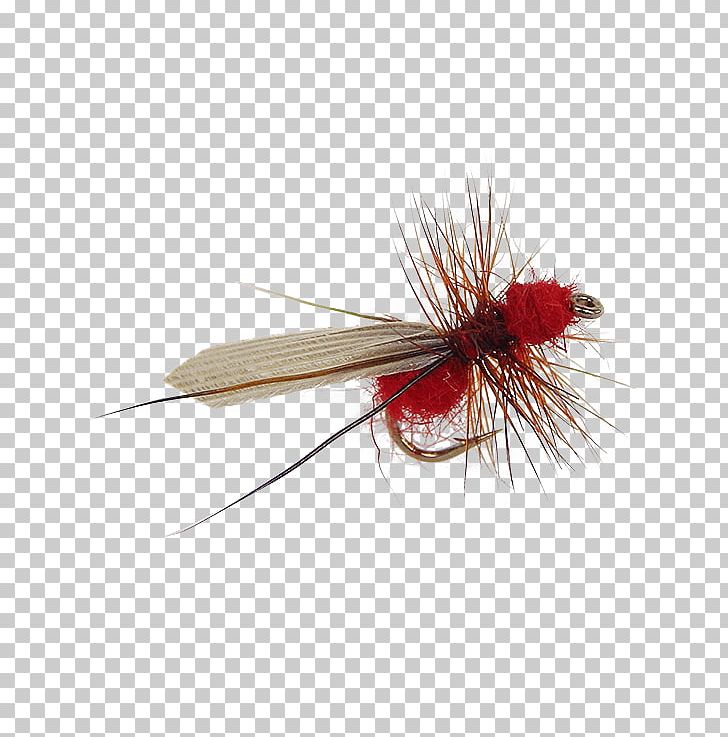 Artificial Fly Fly Fishing Holly Flies Ant PNG, Clipart, Ant, Artificial Fly, Beetle, Brand, Brand Ambassador Free PNG Download