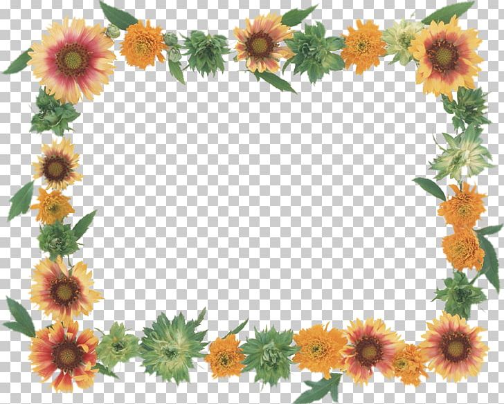 Frames Flower Paper Photography Floral Design PNG, Clipart, Chrysanths, Cut Flowers, Daisy Family, Drawing, Floral Design Free PNG Download
