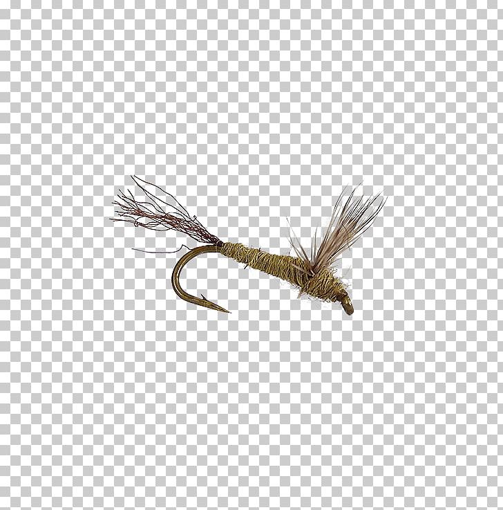 Holly Flies Artificial Fly Dobsonflies George Daniel PNG, Clipart, Artificial Fly, Feather, Fly, Fly Fishing, George Daniel Free PNG Download