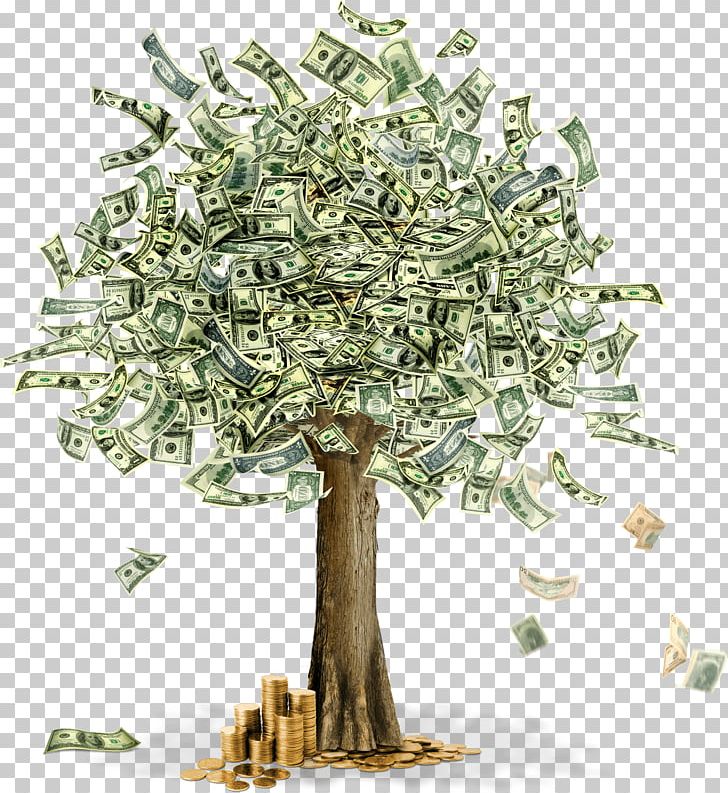 Money Tree PNG, Clipart, Money, Objects Free PNG Download