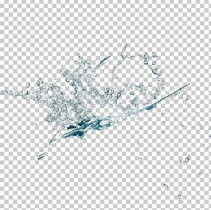 Water Splash PNG, Clipart, Branch, Color Splash, Computer Wallpaper, Desktop Wallpaper, Drawing Free PNG Download