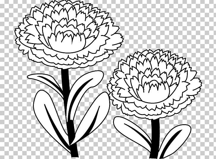 Floral Design Calendula Officinalis Coloring Book Drawing PNG, Clipart, Art, Artwork, Black And White, Calendula Officinalis, Coloring Book Free PNG Download