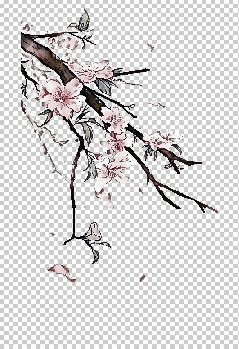 Cherry Blossom PNG, Clipart, Blossom, Branch, Cherry Blossom, Flower, Pedicel Free PNG Download