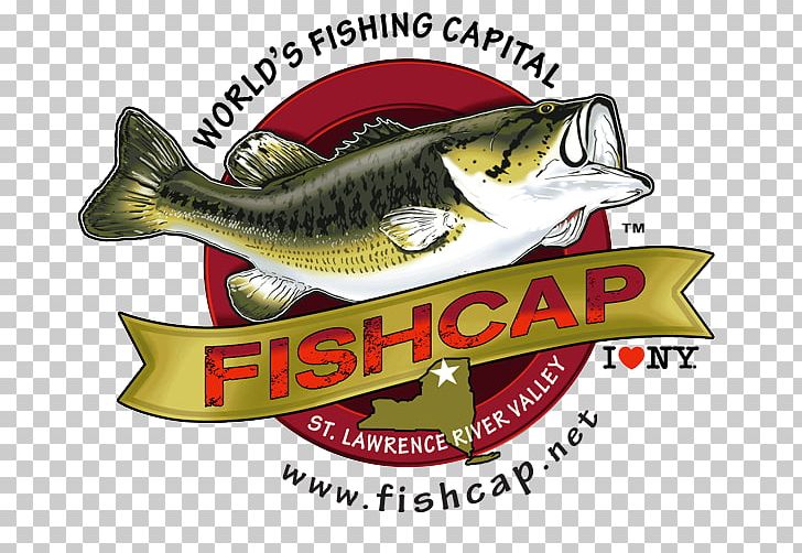 Saint Lawrence River Bass Fishing Hunting PNG, Clipart, Angling, Bass Fishing, Bass Lake California, Brand, Fish Free PNG Download