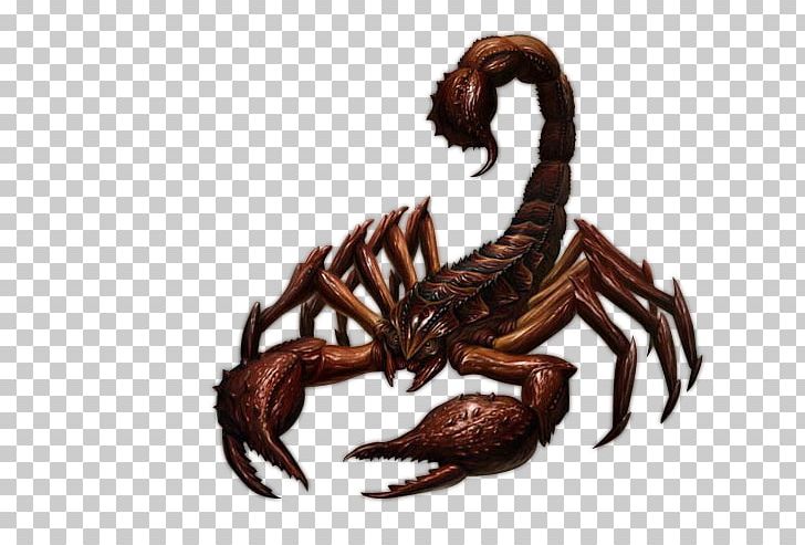 Scorpion Insect PNG, Clipart, Animal, Arthropod, Cartoon Scorpion, Computer Icons, Drawing Free PNG Download