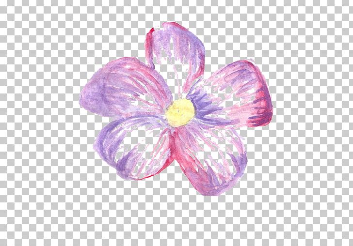 Sticker Paper Flower Wall Decal PNG, Clipart, Adhesive, Bumper Sticker, Color, Decal, Drawing Free PNG Download