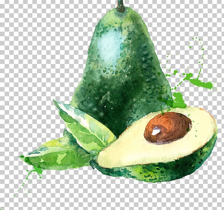 Watercolor Painting Fruit Drawing PNG, Clipart, Apple , Art, Avocado, Canvas, Cartoon Free PNG Download