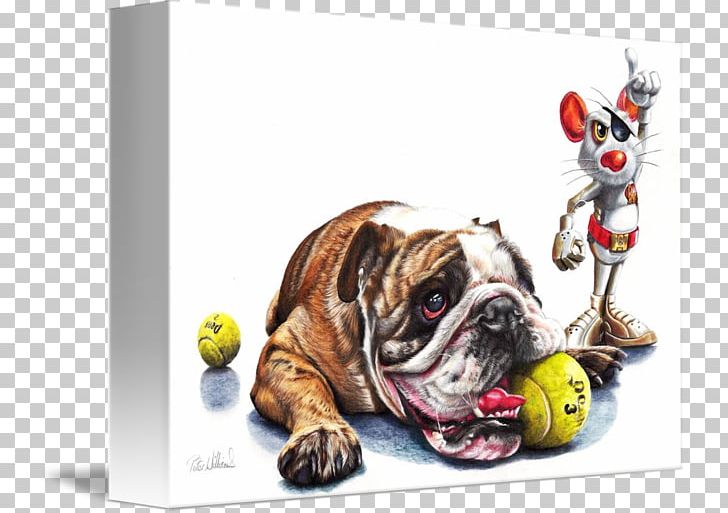 Bulldog Dog Breed Horse Cat Non-sporting Group PNG, Clipart, Animals, Art, Breed, Bulldog, Carnivoran Free PNG Download