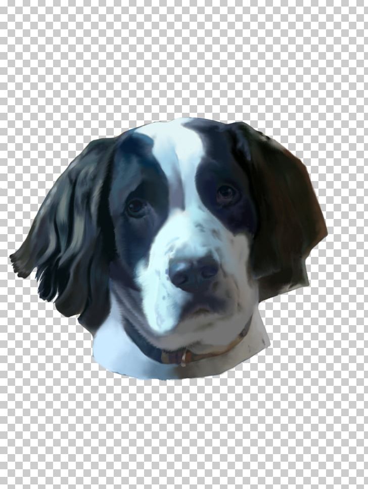 Dog Breed Sporting Group Spaniel Snout PNG, Clipart, Animals, Breed, Carnivoran, Crossbreed, Dog Free PNG Download