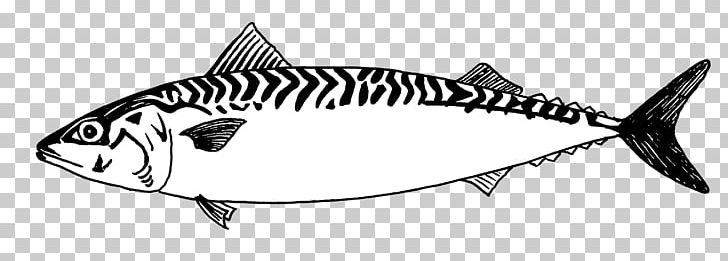 Mackerel Line Art Fish Drawing PNG, Clipart, Animals, Art, Atlantic Mackerel, Basa, Black And White Free PNG Download