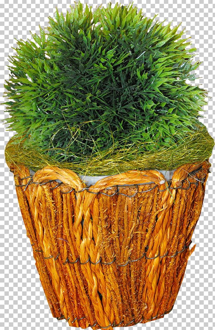 Plant Motif PNG, Clipart, Download, Flowerpot, Food Drinks, Grass, Grass Family Free PNG Download