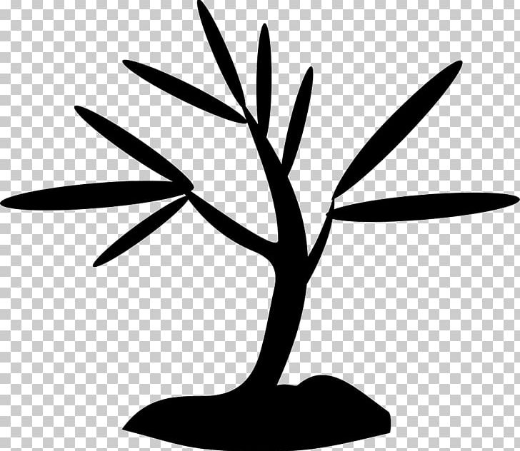 Computer Icons PNG, Clipart, Artwork, Black And White, Branch, Computer Icons, Computer Software Free PNG Download