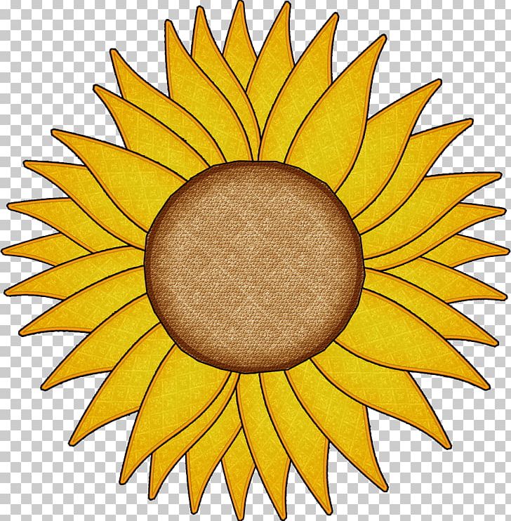 Sunflower Symmetry Sunflower Seed PNG, Clipart, Blog, Circle, Daisy Family, Drawing, Flower Free PNG Download