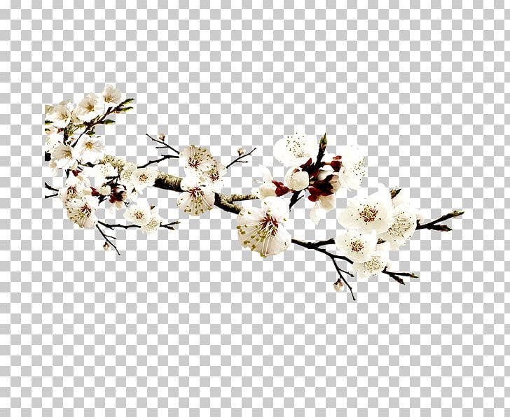 Wholesale Template Icon PNG, Clipart, Advertising, Blooming, Blossom, Branch, Cherry Blossom Free PNG Download