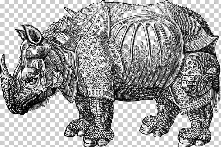 Dürer's Rhinoceros Black Rhinoceros Drawing PNG, Clipart,  Free PNG Download
