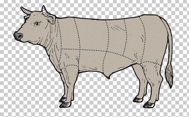 Dairy Cattle Angus Cattle Beef Cattle Calf Ox PNG, Clipart, Angus Cattle, Animal Figure, Beef, Beef Cattle, Beef Shank Free PNG Download